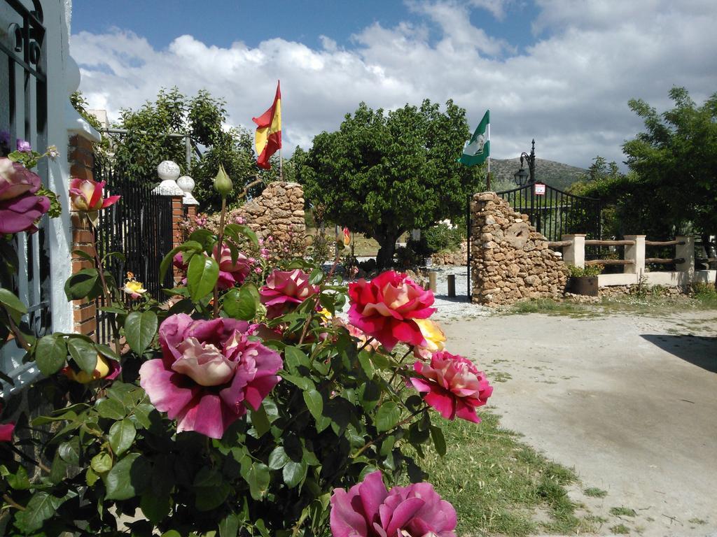 Cortijo Los Soledad El Sauco Exterior photo
