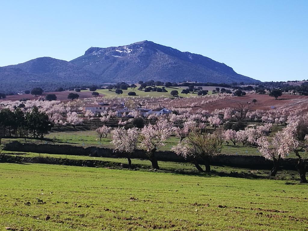 Cortijo Los Soledad El Sauco Exterior photo