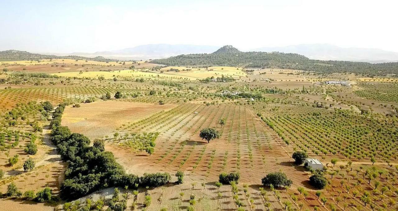 Cortijo Los Soledad El Sauco Exterior photo