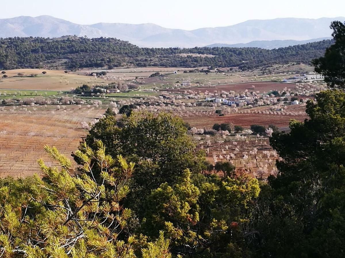 Cortijo Los Soledad El Sauco Exterior photo